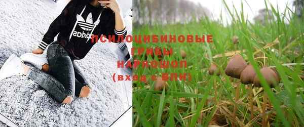 сатива Навашино