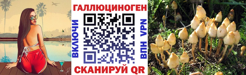 Галлюциногенные грибы Psilocybine cubensis  Купить закладки  Цоци-Юрт 