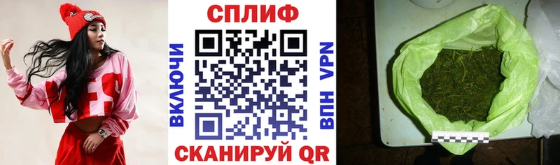 Купить где  Цоци-Юрт  Конопля Amnesia 